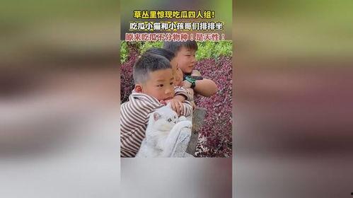 娱乐吃瓜四人组,揭秘娱乐圈背后的故事与笑料